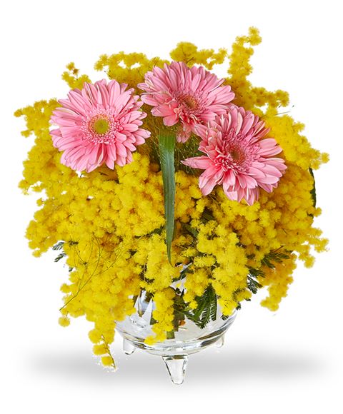 Bouquet mimosa